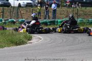 20110501_ales_agnus (3099)